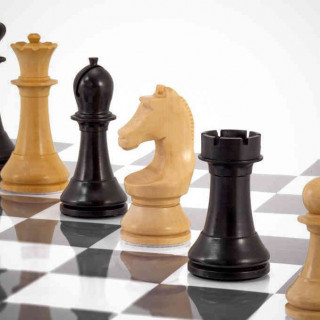 Ульяновские шахматы