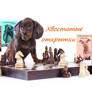 Шахматные открытки